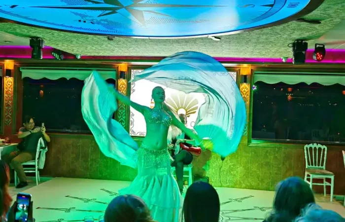 bosphorus dinner cruise