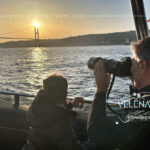 I Discovered the Hidden Magic of the Istanbul Bosphorus on an Unforgettable Sunset Cruise