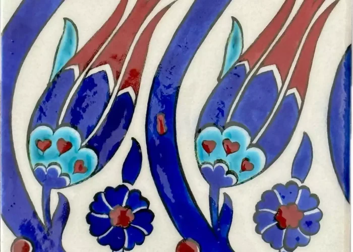 Private Iznik Tour from Istanbul - Discover Ancient Nicaea